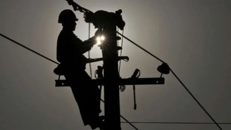 سيدي بوزيد: مقترح لإحداث إقليم جديد للستاغ يجمع ثلاث معتمديات