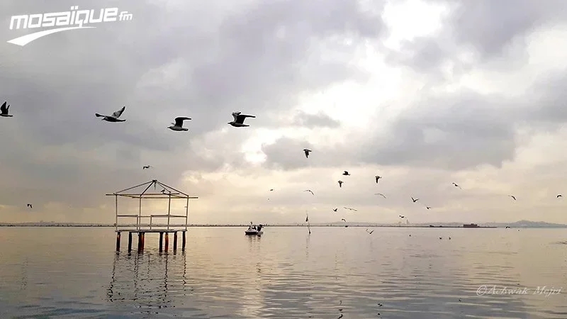 الأحد: حالة الطقس ودرجات الحرارة