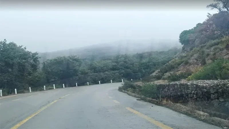 حرارة دون تغيير وضباب كثيف منتظر ليلا