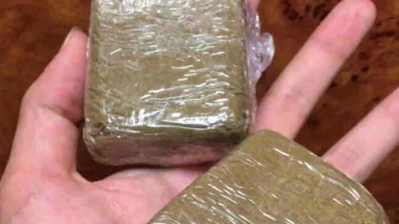 ميناء حلق الوادي.. الديوانة تحجز 100 كيلوغرام 'زطلة' على متن باخرة