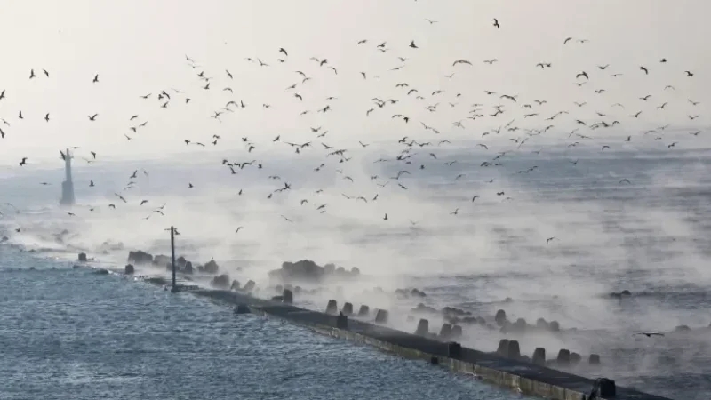 اليابان ترفع مستوى التحذير من تسونامي