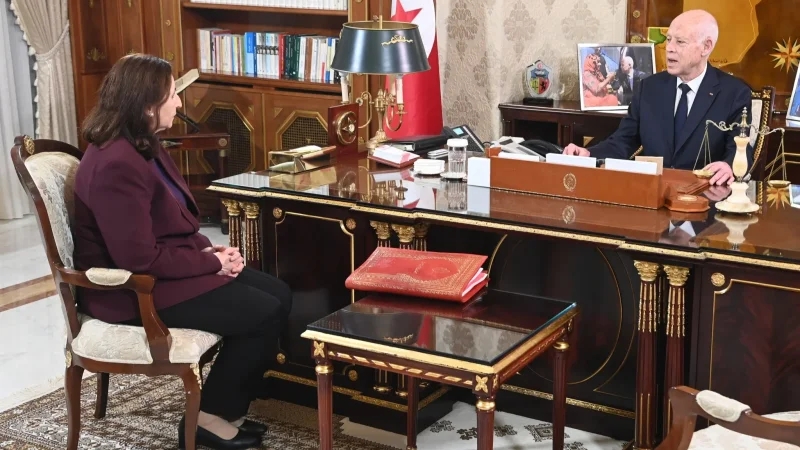 رئيس الجمهورية: عديد المرافق العموميّة لا تسير على الوجه المطلوب