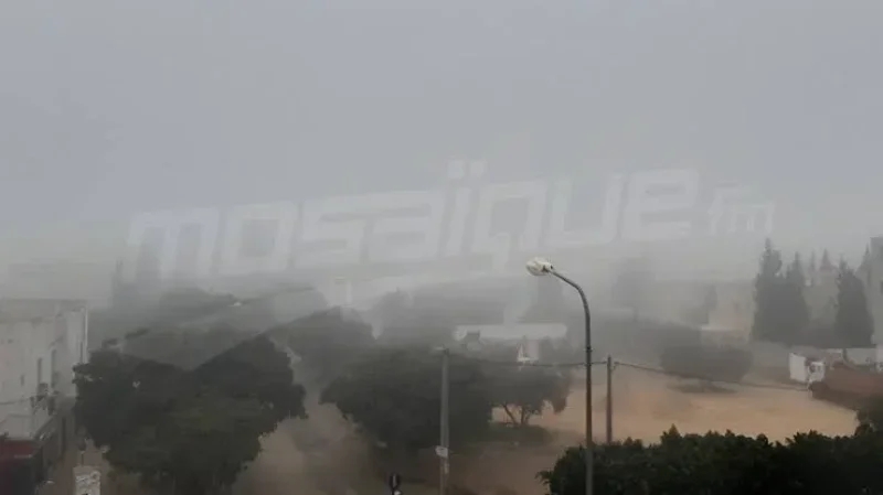 Brouillard dense attendu cette nuit et demain