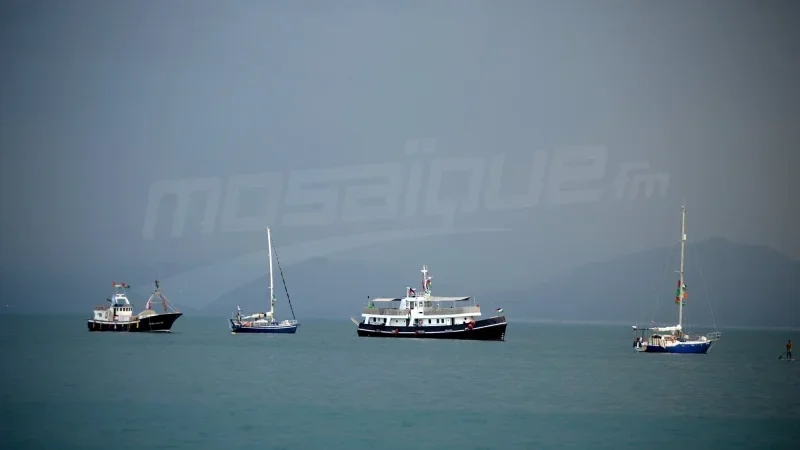 هيئة أسطول الصمود تُقدم تقريرها المالي حول التبرعات وكيفية صرفها