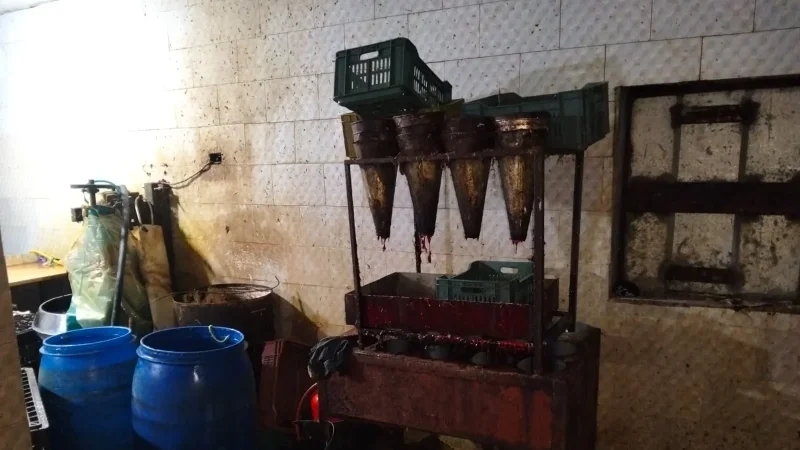 قربة: ضبط مذبح عشوائي وإتلاف 3 أطنان لحوم دجاج فاسدة