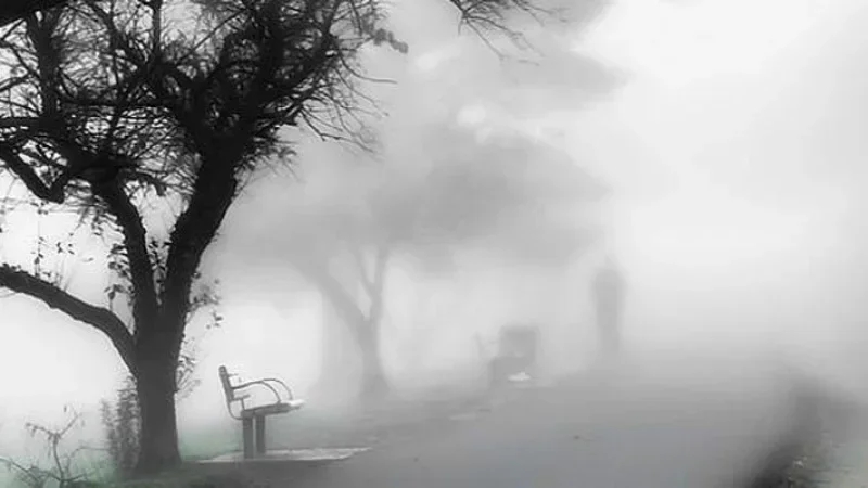 طقس السبت: ضباب صباحا وارتفاع درجات الحرارة