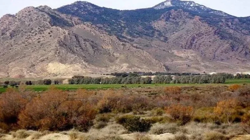 القصرين: نحو 300 زائر من عشرين جنسية في جبل سمامة