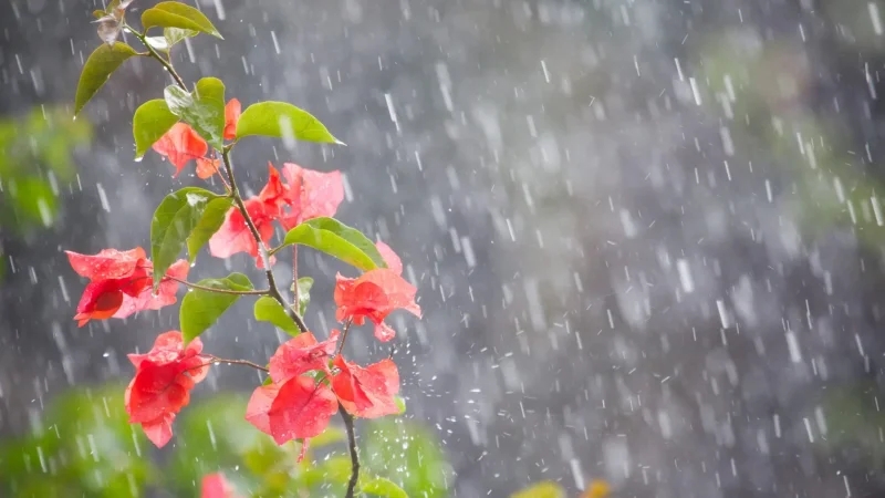 تقلّبات جوية متوقّعة يوم الاثنين