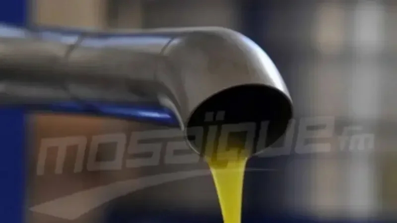 تقدّم عملية جني الزيتون بـ25% ومِنحُ خزن للفلاحين وأصحاب المعاصر