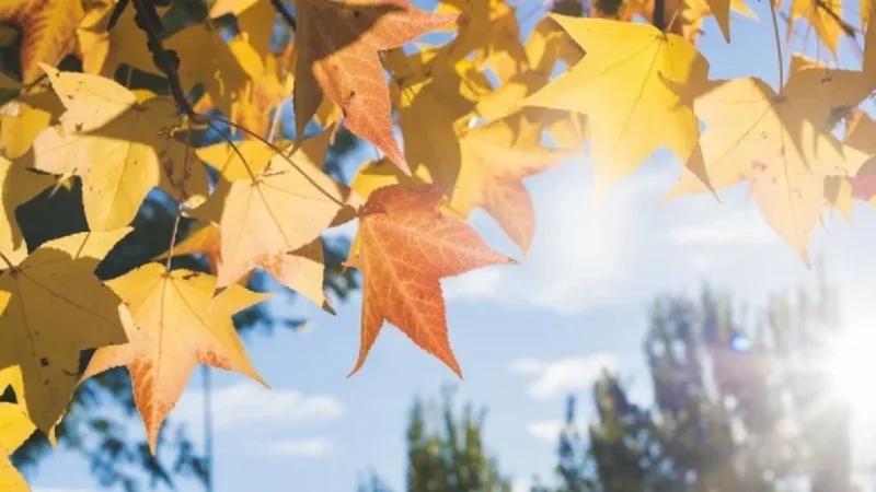 انخفاض طفيف في درجات الحرارة اليوم