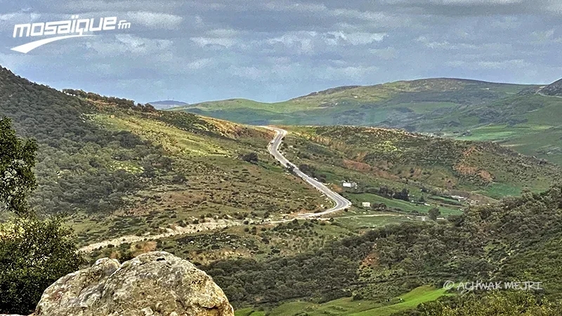 أمطار وانخفاض في درجات الحرارة.. حالة الطقس خلال الأيام المقبلة