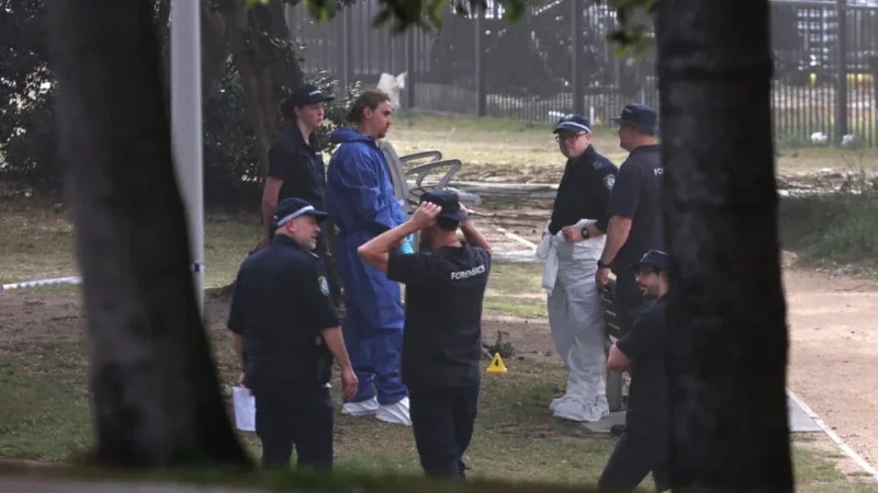 Australie: Après la tuerie de Bondi, vaste programme de rachat d’armes