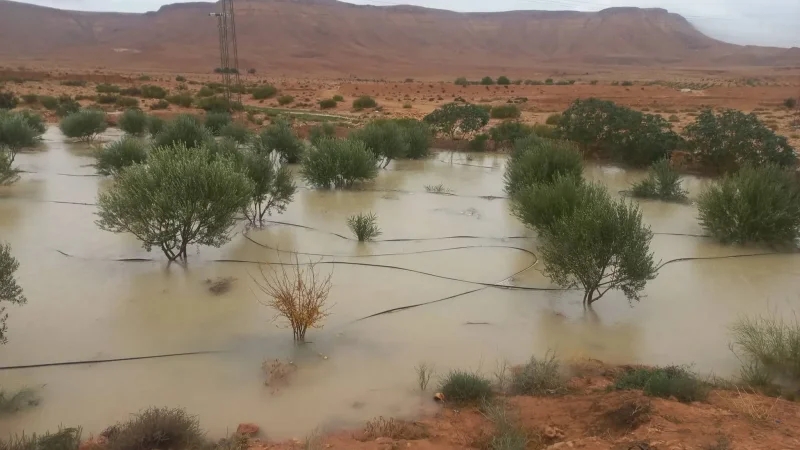 ذهيبة..السلط تدعو إلى عدم المجازفة بسبب سيلان الأودية إثر أمطار غزيرة