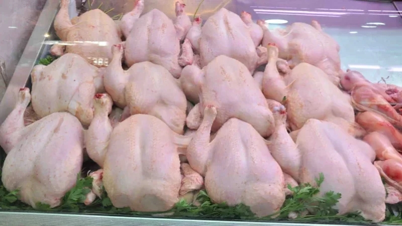 قفصة: احتجاج بائعي الدجاج الجاهز