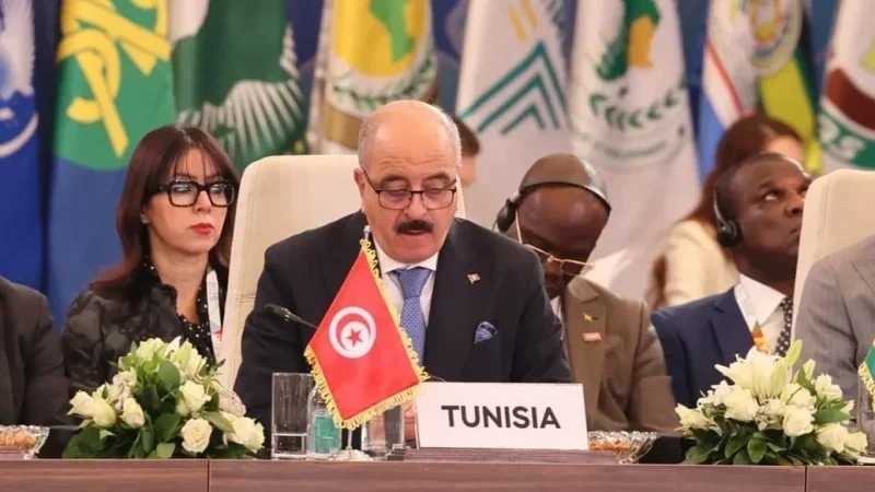 Nafti: La diplomatie, un outil de promotion de l’huile d’olive