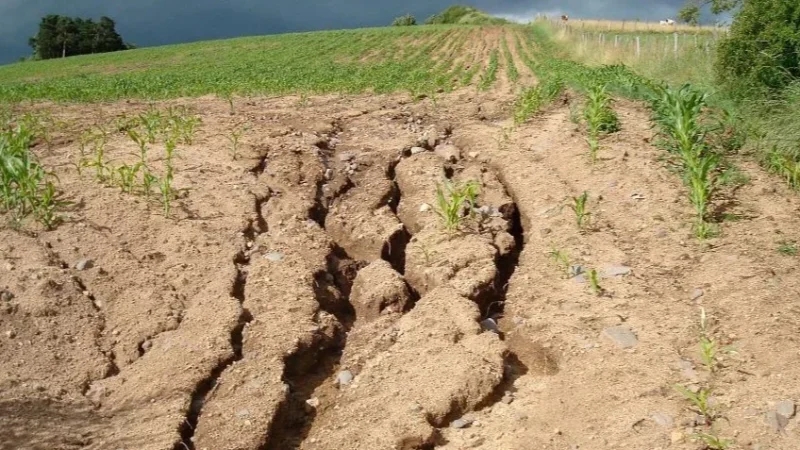 3 مليون هكتار من الأراضي الصالحة للزراعة مهدّدة بالانجراف في تونس