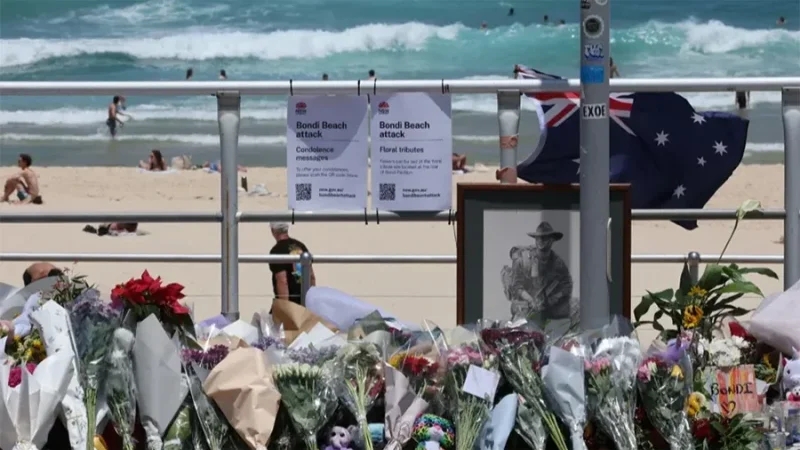 بعد هجوم بونداي..ولاية أسترالية تستعد لتشديد قوانين حيازة الأسلحة