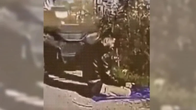 جندي إسرائيلي يصدم فلسطينيا بسيارته أثناء الصلاة بالضفة الغربية