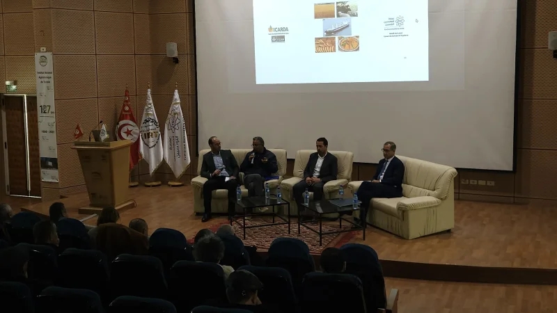 درغوث: مواصلة نفس الأساليب الزراعية تهدد الأمن الغذائي في تونس