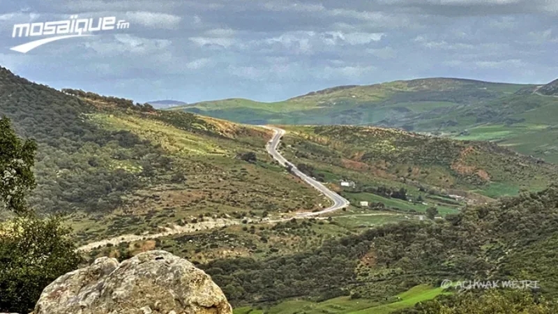 الأحد: سُحب كثيفة مع أمطار مُتفرّقة