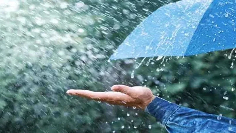 أعلاها ببني خلاد.. كميات الأمطار المسجلة في الـ24 ساعة الماضية