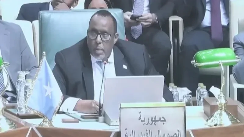 الصومال: نرفض أن نكون طرفا في أي مخطط لتهجير الفلسطينيين