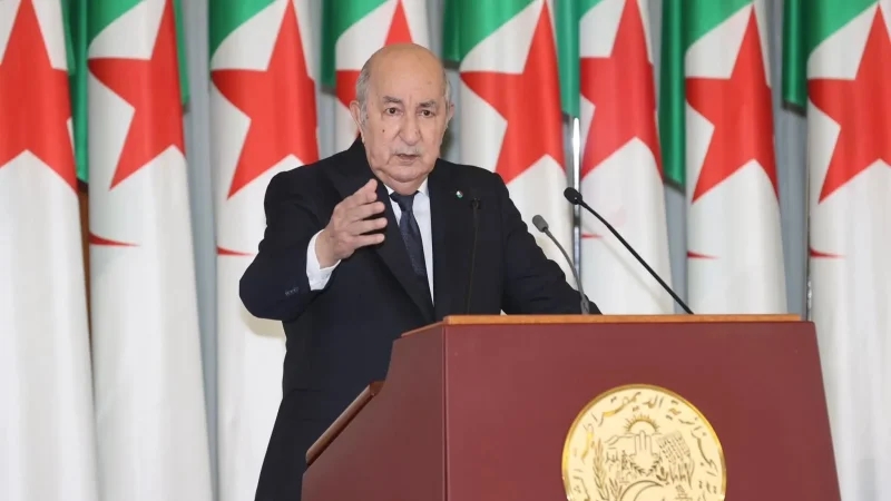 تبّون: 'عقول ضيّقة' تُحاول زرع الفتنة بين الجزائر وتونس