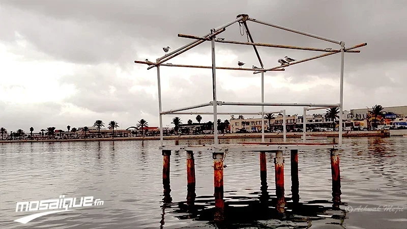 طقس الجمعة 2 جانفي 2026