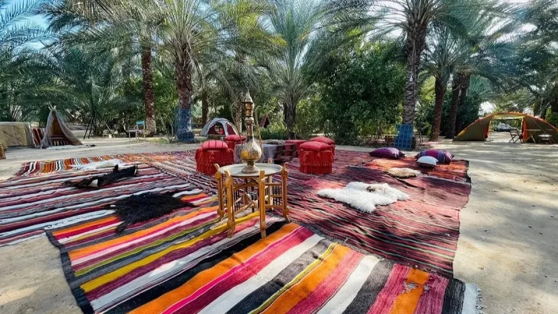 قبلي: 86% نسبة الإيواء بالنزل ليلة رأس السنة الإدارية