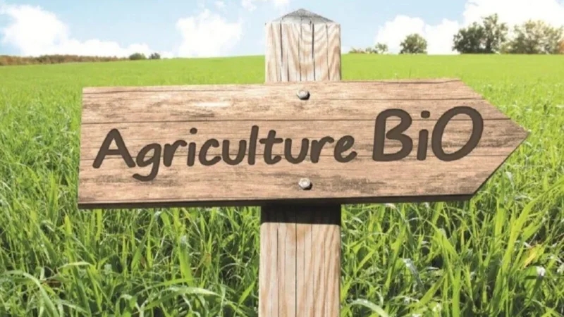 رغم التحديات:الفلاحة البيولوجية قطاع مصدر بامتياز لكن بأي استراتيجيات؟