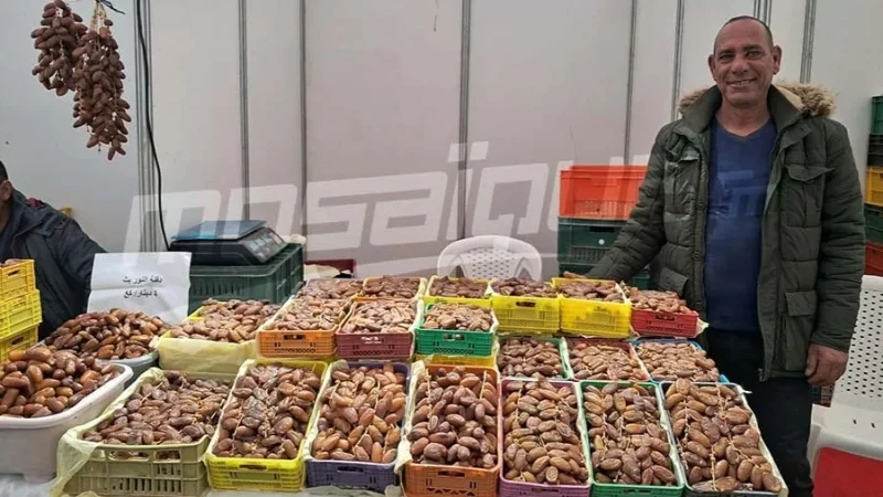 نابل..خيمة لبيع التمور من المنتج إلى المستهلك