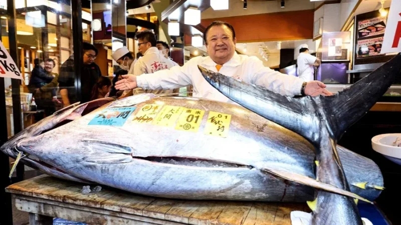 بيع سمكة تونة بـ3.2 مليون دولار في مزاد طوكيو السنوي