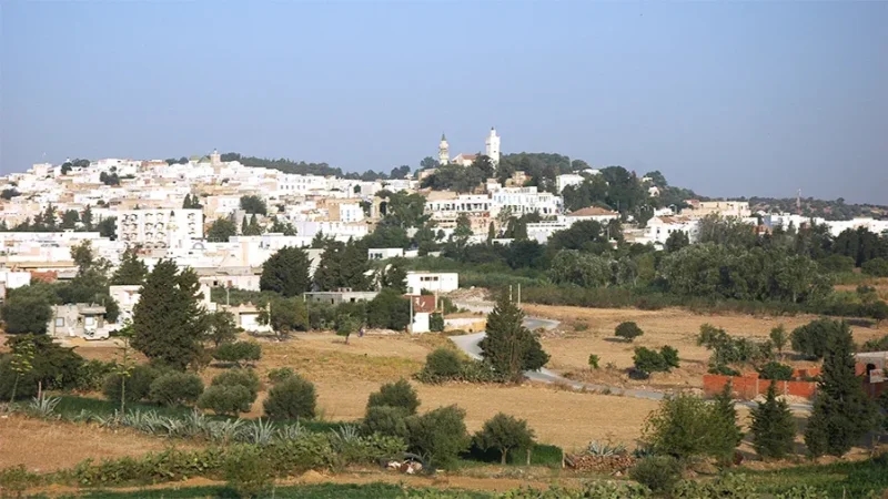 زغوان: تقدّم مشاريع تهذيب التجمعات السكنية بنسب متفاوتة