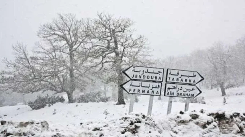 Météo : Pluies orageuses et neige sur les hauteurs