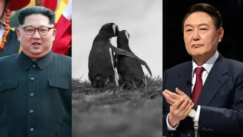 كوريا الجنوبية تستعين بـ 'بطريقين' لكسر الجليد مع زعيم جارتها الشمالية
