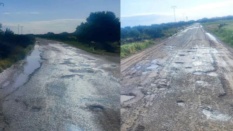 بوحجلة: دعوات لصيانة عاجلة لطريق 'ذراع مريرة'