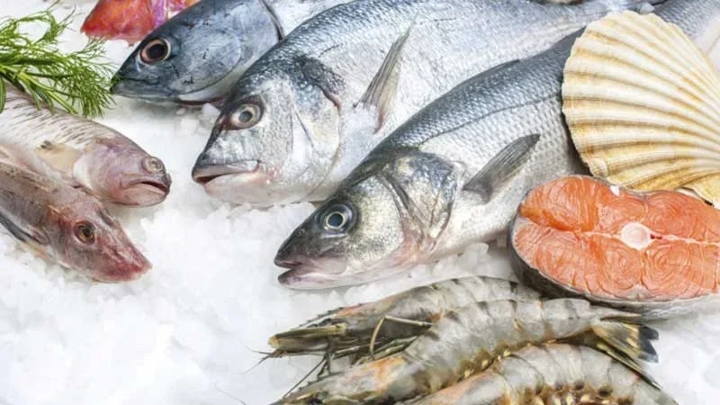 تقلص فائض الميزان التجاري لمنتوجات الصيد البحري موفى نوفمبر 2025