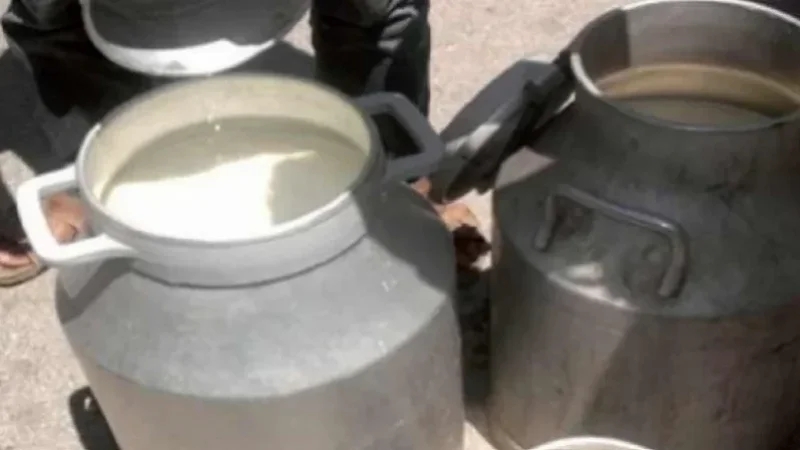 قليبية: حجز 3800 لتر من الحليب وأطنان من الأعلاف بمستودع عشوائي