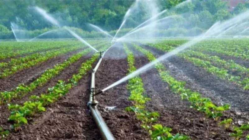 العروسة: تقدم أشغال إعادة تهيئة المنطقة السقوية بنسبة 90%