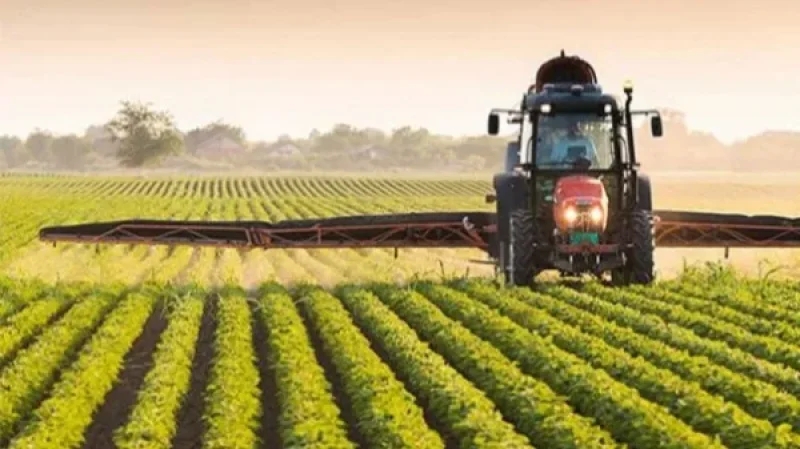 نابل: استبشار الفلاحين بموسم الزراعات الكبرى رغم نقص البذور