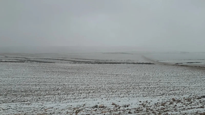 رئيس اتحاد الفلاحين بالقصرين: تساقط الثلوج يبشّر بموسم فلاحي جيّد