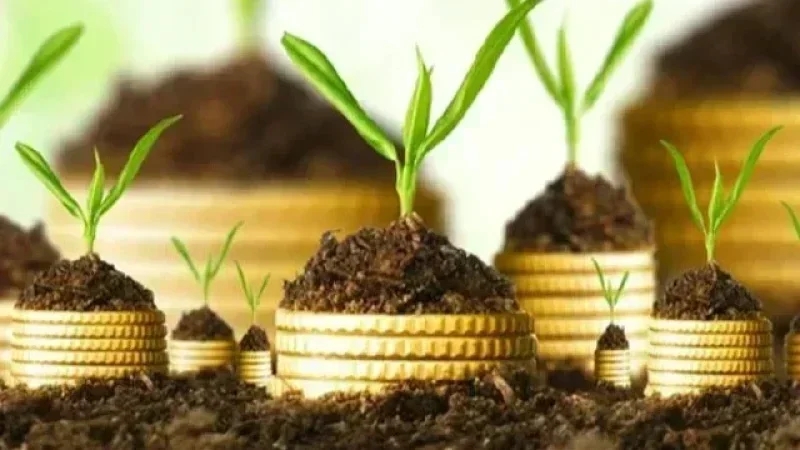 Les agriculteurs endettés de 1057 millions de dinars