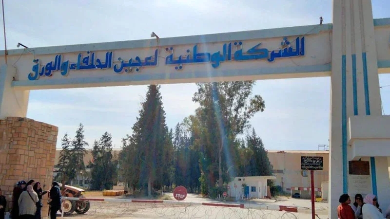 أعوان وإطارات معمل الحلفاء بالقصرين يوجهون رسالة إلى رئيس الجمهورية