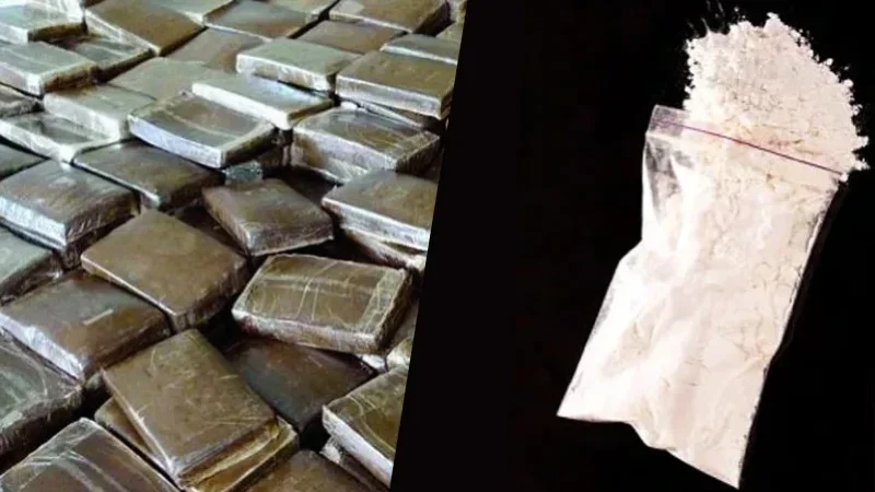 إيداع شاب السجن لحيازته 'زطلة' وكوكايين في سيارته بميناء حلق الوادي