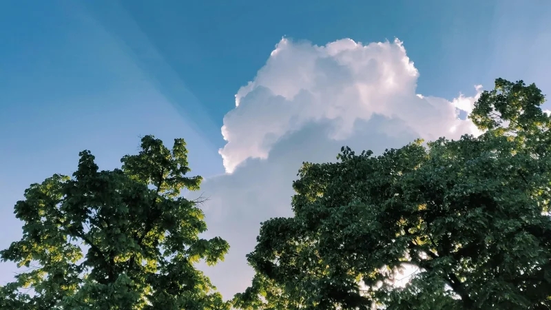 سحب قليلة وبحر قليل الإضطراب اليوم