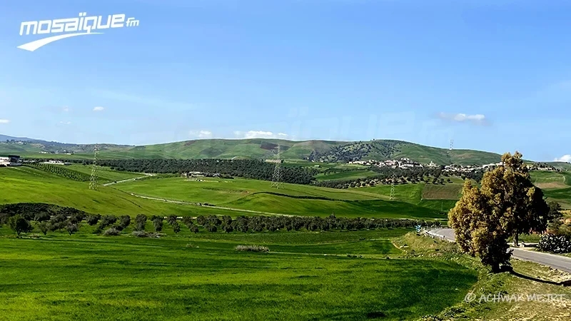 طقس الخميس 15 جانفي 2026