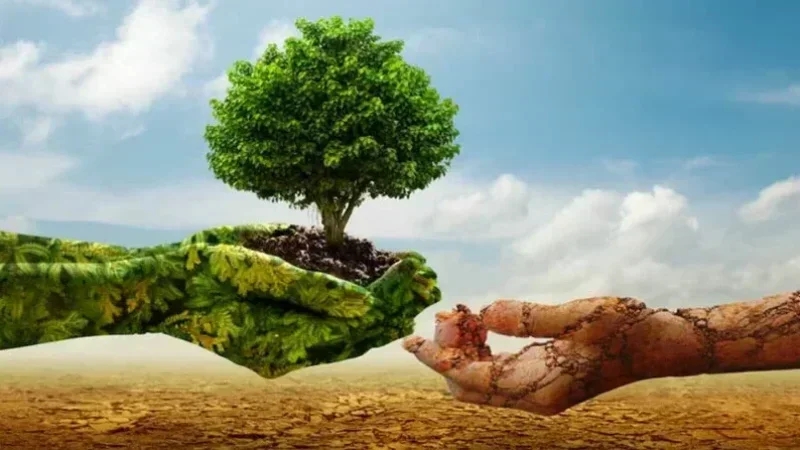 تمديد فترة الاكتتاب بصندوق تعويض الأضرار الفلاحية الناجمة عن الجوائح