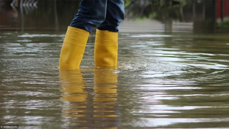 المهدية: تعليق الدورس بالمؤسسات التربوية والجامعية والتكوينية