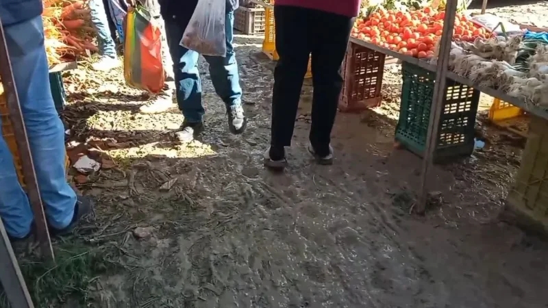 سليانة: تكدس الأوحال يُؤرق الباعة بالسوق الأسبوعية ويُعطّل حركة المارة