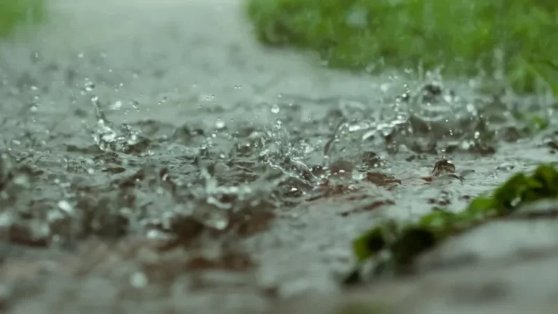 أمطار أحيانا غزيرة بأقصى الشمال الغربي ليلا